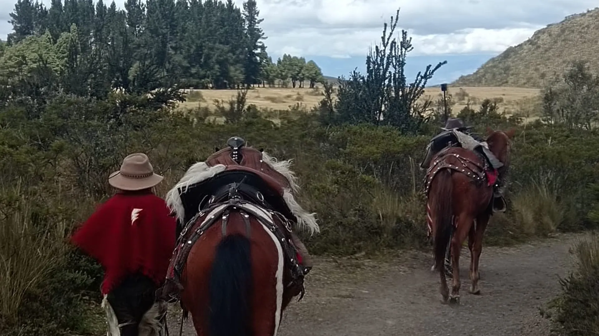 Best Day Trips from Quito: 7 Unforgettable Experiences